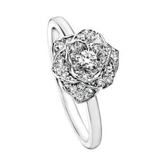 Discover Piaget Rose ring in white gold, diamond on Piaget US online jewelry store - G34UR500 Piaget luxury ring Piaget Ring, Piaget Rose, Small Diamond Rings, Rose Diamond, Ring Rosegold, White Gold Set, Pave Diamond Ring, Rose Ring, Rose Jewelry