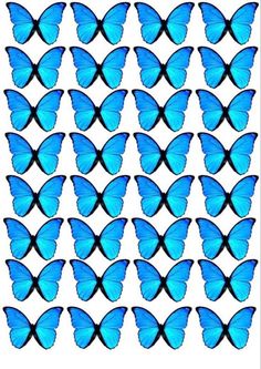 blue butterflies are arranged in rows on a white background