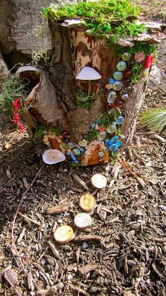 a tree stump with mushrooms and plants growing out of it's sides on the ground