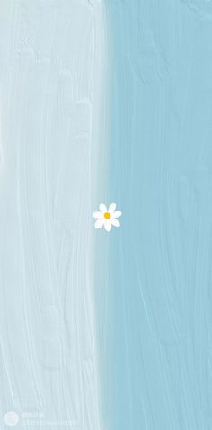 a single white flower sitting on top of a blue and white wall next to the ocean