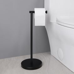 a white toilet sitting next to a black stand with a roll of paper on it