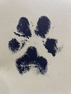 an animal's paw print is shown on a piece of white paper with black ink