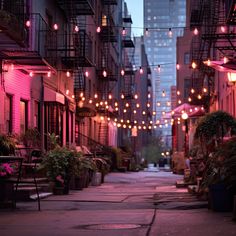 an alleyway with potted plants and lights strung from the building's windows