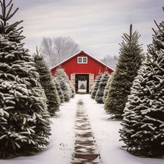 a red barn surrounded by snow covered trees