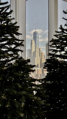 trees in front of a window with the empire building seen through it's panoramic windows