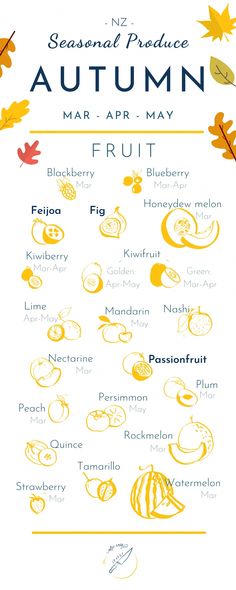 an autumn poster with the words seasonal produce and their names in oranges, yellows,