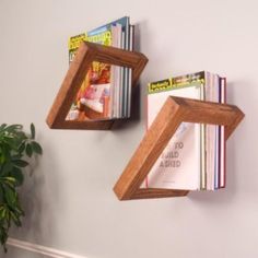 two wooden bookshelves on the wall with magazines in them and a potted plant