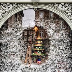 a christmas tree is in the middle of a window with snow on it and an old building behind it