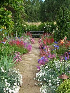 a garden filled with lots of colorful flowers