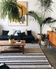 a living room filled with lots of plants next to a black couch and coffee table