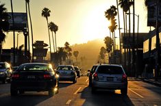 cars driving down the road at sunset with palm trees