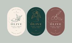 Premium Vector | Set of labels with olive branch simple linear style Olive Branch Simple, Olive Branch Logo, Beauty Products Mockup, Candle Logo Design, Olive Oil Packaging, Candle Logo, Honey Packaging