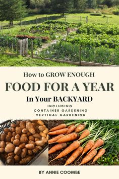 the cover of how to grow enough food for a year in your backyard