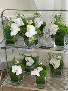 several glass vases with white flowers and greenery in them on a metal rack