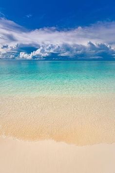 the beach is clean and clear for us to see