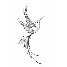 a black and white drawing of a humming bird