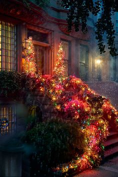 christmas lights on the steps and trees in front of a building