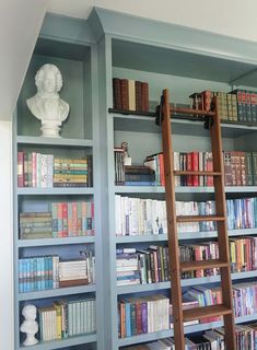 there are many books on the shelves and a ladder is in front of each bookcase