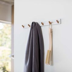 a towel and brush hanging on a wall next to a coat rack with two hooks