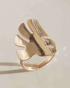 Look At The Moon, Tropical Leaf, Leaf Ring, Leaf Necklace, Gold Hoops, Tropical Leaves, Favorite Things, Gold Filled, Gold Plate