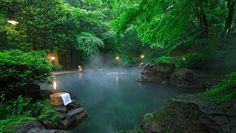 a pool surrounded by lush green trees in the middle of a forest with lights on