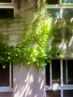 an old building with ivy growing on it's side and windows in the background