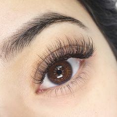 How can you determine what lash length is flattering for your eye shape? Eyelash Serum Best, Best Eyelash Curler, Extensions Eyelash, Lash Tips, Extension Training