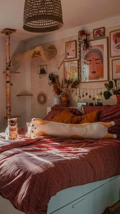 a cat laying on top of a bed in a room with lots of pictures above it