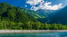 a river flowing through a lush green forest covered mountain side next to a forest filled with lots of trees