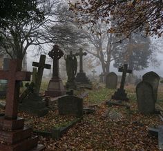 a cemetery with many headstones in the fog