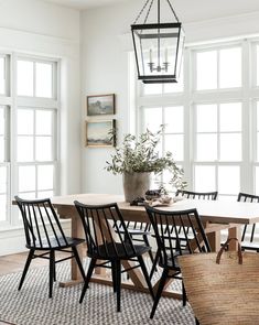 a dining room table with chairs and a plant in the center is surrounded by windows