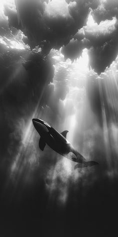 an airplane is flying through the clouds in black and white