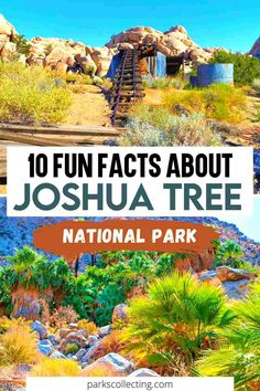 the joshua tree national park with text overlaying it