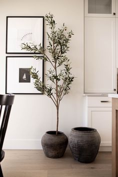 two potted plants sitting next to each other in front of pictures on the wall