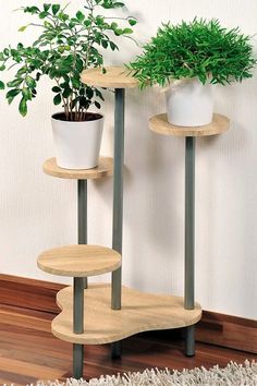 two potted plants are sitting on three tiered shelves