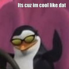 a penguin driving a car with the caption it's cuz im cool like dat