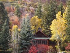 a cabin nestled in the woods surrounded by trees with fall colors on it's leaves