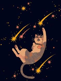 a cat that is flying through the air with stars in it's back legs