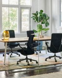 an office table with chairs and a potted plant in front of the glass wall