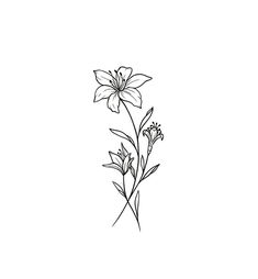 a line drawing of two flowers on a white background, one is black and the other is white