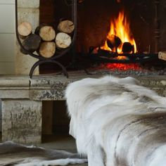 a dog is sitting in front of a fireplace with logs on the floor and fire