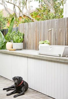 a black dog laying on top of a wooden deck next to a sink and grill