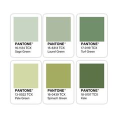 pantone's green color swatches sticker