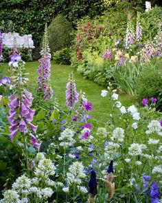 a garden filled with lots of purple and white flowers