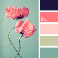 two pink flowers in a vase with color swatches