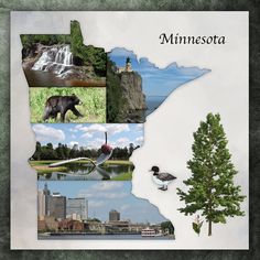 the state of minnesota is depicted in this collage with images of animals and trees