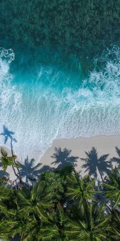 an aerial view of the beach with palm trees and blue water in the foreground