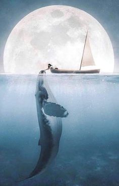 an animal floating in the water with a boat on it's back and a full moon