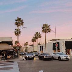 cars are parked on the street in front of buildings and palm trees at sunset or dawn