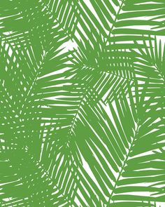 a green palm leaf pattern on a white background